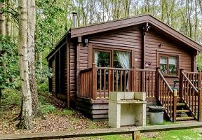 Sherwood Sylvan 5
