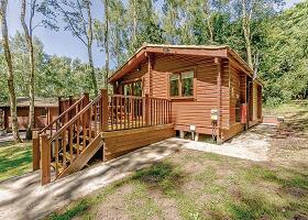 Sherwood Sylvan 5
