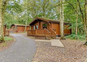 Sherwood Sylvan 5