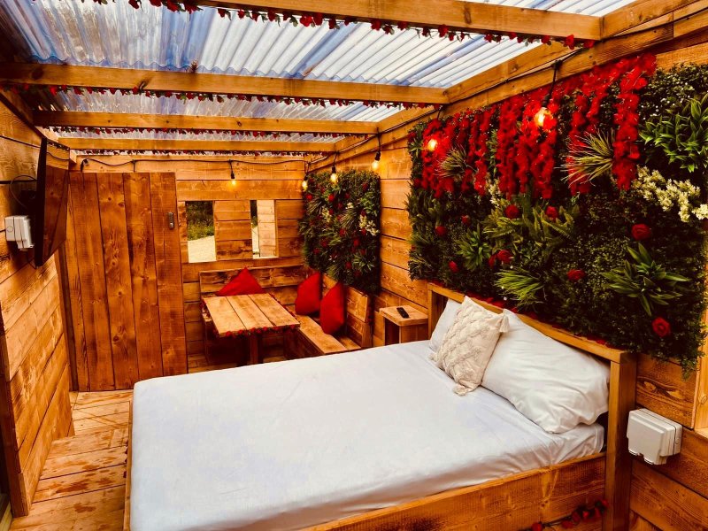 LSG - Nature 6 - Love Lodge photo 9
